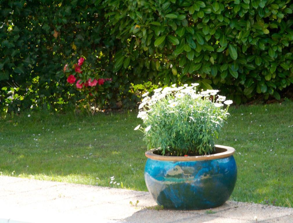 Les Hibiscus Bed & Breakfast Maisons-Laffitte Eksteriør bilde